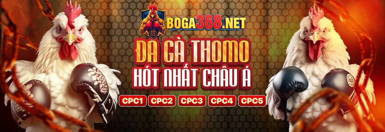 Hình ảnh chiến lược cá cược thể thao tại helo88