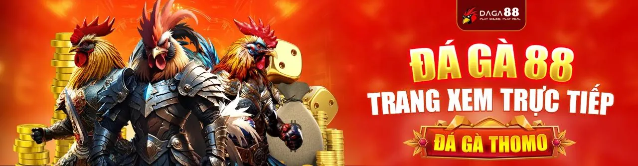 Cá cược thể thao helo88 với trận đấu sôi động